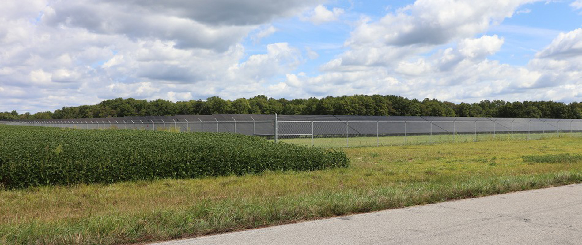 Street view of a solar farm behind a fence with grass.